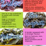 Fresh Seaweed Health Benefits